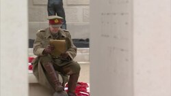 National Memorial Arboretum poppies News Clip