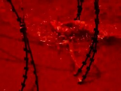 Hand in blood water Stock Footage