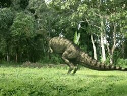 Medium Long Shot static - Silhouetted dinosaurs stalk a Tyrannosaurus Rex in a computer-generated animation. / Washington, DC, USA Stock Footage