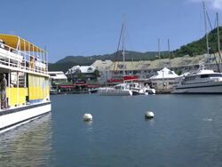 Marigot St. Martin Port Le Royale zodiac leaves Stock Footage