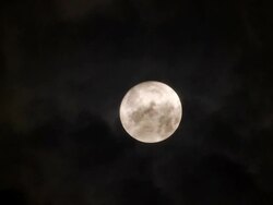 Moon in Cloud Stock Footage