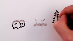 Why Are Leaves Green? Part 1 Instructional Video