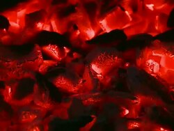 WS Fog at forest / Mettlach, Saarland, Germany Stock Footage