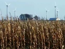 Scenes From Iowa Stock Footage