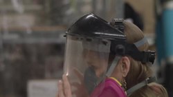 What a Dinosaur Looks Like Under a Microscope Instructional Video