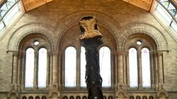 Dippy The Diplodocus Last Day On Show At London's Natural History Museum News Clip