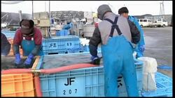 Future looks uncertain for residents of town decimated by tsunami News Clip