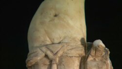 A statuette stands next to a torso in an antiquities storeroom. Stock Footage