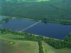 Aerial Video of a Catfish Farm Ponds Stock Footage