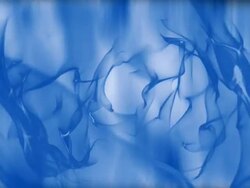 Blue softness Stock Footage