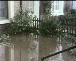 FLOOD CHAOS News Clip