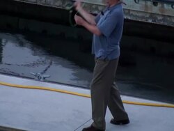 Practicing Fly Fishing, Casting Rod Stock Footage