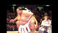 VOICED : Japans women wrestlers take on sumos big boys News Clip