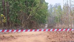 Racing Track Stock Footage