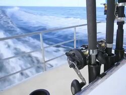 Fishing Rods Stock Footage