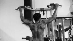 Young Men Performing Back Exercise in the Gym Stock Footage