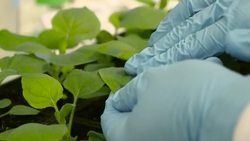 Pioneering effort to detect Ebola Instructional Video