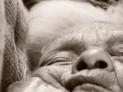 Senior Asian woman Stock Footage