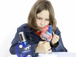 Schoolboy Stock Footage