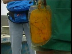 CHINA: IFAW RESCUE BLACK BEAR (V) News Clip