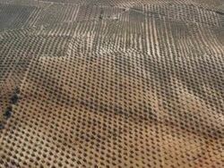 circling aerial view of olive plantation Stock Footage