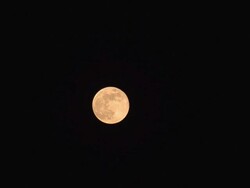 Full moon Stock Footage