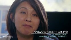 Life-Saving Antibiotics Could Be Hidden in Caves News Clip