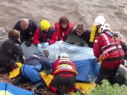 16 Whales Die After Mass Stranding News Clip