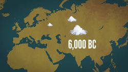 Why Salt & Pepper? Instructional Video