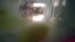 Drunk Young Man Vomiting in the Toilet at Home Stock Footage