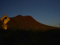 Saguaro National Park Stock Footage