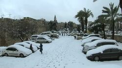 Palestine Snow Storm News Clip