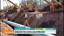 Could You Get Into Your Alma Mater Today? News Clip