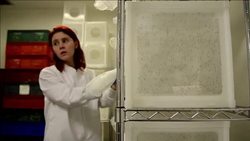 CLEAN : Zika virus seen spreading throughout Americas WHO News Clip