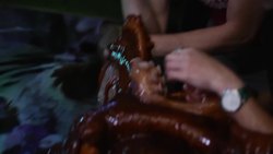 My Date With A Giant Pacific Octopus! Instructional Video