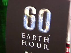 WWF's Earth Hour 2009 Stock Footage