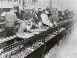 Steve Keil: A manifesto for play, for Bulgaria and beyond Instructional Video