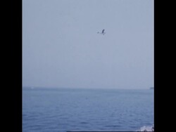 RR7236A  FRANCE POLLUTION ON THE COTE D'AZUR News Clip