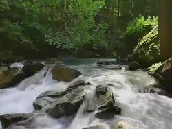 Spring in Great Smoky Mountains National Park Stock Footage