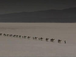 WS PAN Camel caravan on blinding white salt flats / Republic of Djibouti Stock Footage