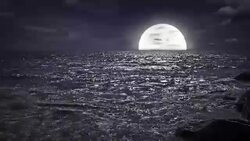Moon sets in the sea Stock Footage
