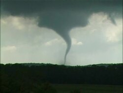 WA Grey tornado swirling across horizon, behind silhouetted trees, white cloudy sky, USA Stock Footage