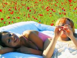 Young Womans Sing a Song on Bed in Poppy Field Stock Footage