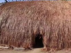 Kamayura Tribe Of The Xingu Indian Reserve Stock Footage