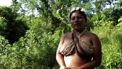 VOICED : Ecuador tribe swaps hunting for cocoa farming to save forest News Clip