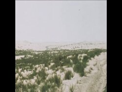 SYND 22 5 74 IRISH REPUBLIC UNITED NATIONS TROOPS, SERVING IN SANAI, ARE TO RETURN HOME News Clip