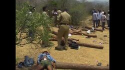 Police kill 20 suspected sandalwood smugglers Instructional Video