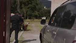 VOICED : Colombia: cese al fuego centro de dialogos entre gobierno y ELN News Clip