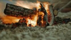 Camp fire on the beach Stock Footage