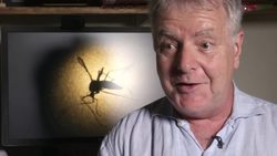 A do and don't list for Olympic athletes and visitors News Clip